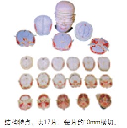 點擊瀏覽下一頁