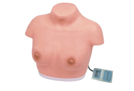 高級乳房視診與觸診模型（電子監(jiān)測）