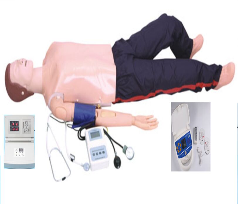 高級(jí)全自動(dòng)電腦心肺復(fù)蘇模擬人(CPR,模擬除顫與血