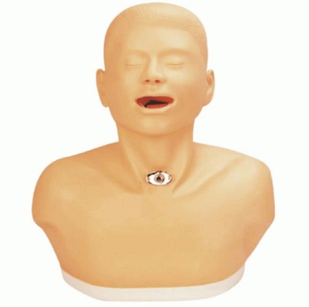 高級(jí)成人氣管切開(kāi)護(hù)理模型YR-H58