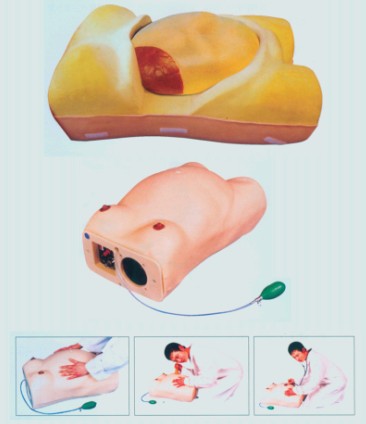 高級(jí)電腦孕婦檢查模型