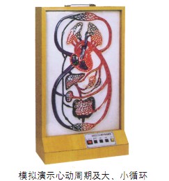 大、小循環(huán)電動(dòng)模型
